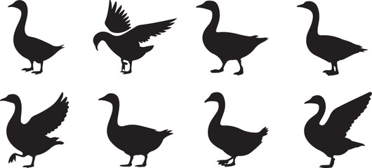 Canadian Geese Silhouettes