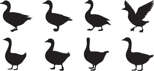 Canadian Geese Silhouettes