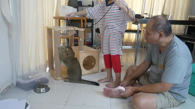 Father and son play and take care of a cat together.