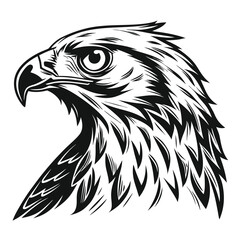 Stylized eagle head profile showcases striking monochrome feathers in a commanding and symbolic presentation