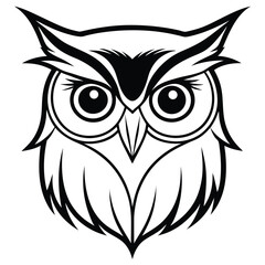 Detailed owl face in black and white shows its large eyes and strong look
