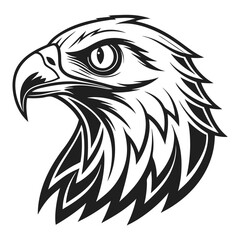 Striking black and white eagle head displays majestic gaze with powerful sharp beak features