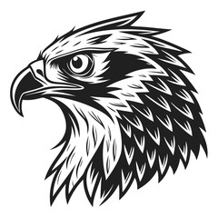 Black and white eagle head showcases striking feather detail and sharp beak line