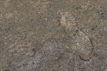 It had rained and the ground was soggy.