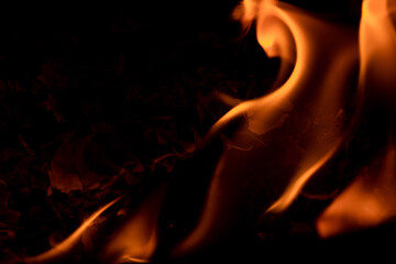 Close-up image of bright orange flames against a backdrop of black ash and burnt debris. A strong...