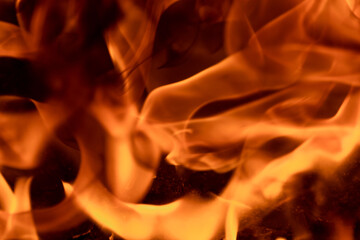 Close-up image of bright orange flames against a backdrop of black ash and burnt debris. A strong visual composition depicting the power, energy, and beauty of nature in the form of the fire element. 