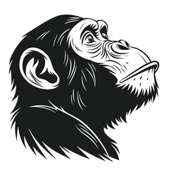 Black ape profile reveals strong features against white, creating a powerful, artistic image © Dipta