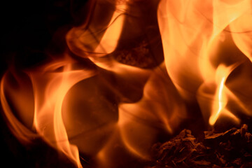 Close-up image of bright orange flames against a backdrop of black ash and burnt debris. A strong visual composition depicting the power, energy, and beauty of nature in the form of the fire element. 