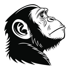 Black outlined chimp head stares intensely upwards, its detailed facial structure captured in monochrome