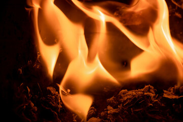 Close-up image of bright orange flames against a backdrop of black ash and burnt debris. A strong visual composition depicting the power, energy, and beauty of nature in the form of the fire element. 