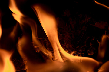 Close-up image of bright orange flames against a backdrop of black ash and burnt debris. A strong visual composition depicting the power, energy, and beauty of nature in the form of the fire element. 