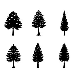 Cypress silhouette vector illustration