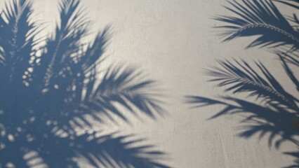 Palm tree shadows casting patterns on light surface outdoor nature tranquil environment