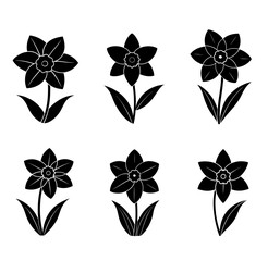 Fototapeta premium Daffodil flower silhouette white background vector