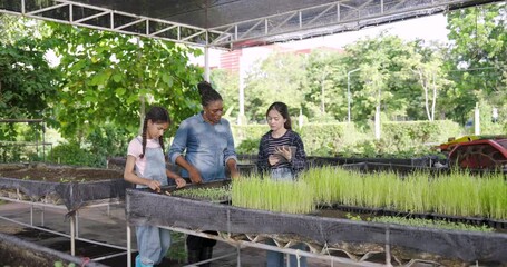 African teacher explaining plant growth to teenage multiracial students with digital tablet modern agriculture learning technology sustainable food production teamwork diverse group eco education
