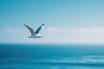 solitary bird glides effortlessly through vast clear sky embodying freedom and grace