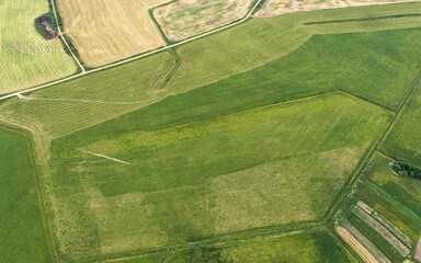 cultivated agricultural fields with growing crops. rural landscape. aerial drone view.