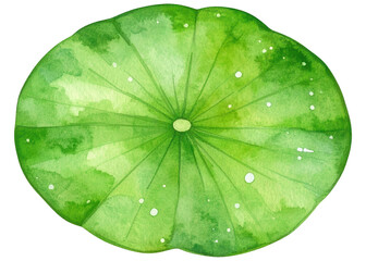 A vibrant watercolor illustration of a green lotus leaf, viewed from above. It features a detailed radial vein pattern and delicate water droplets on its surface, ideal for botanical designs.