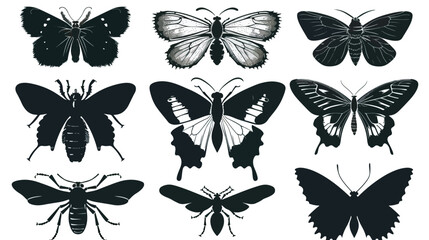 Obraz premium Silhouette insect set isolated on white backround , black silhouettes isolated on white background