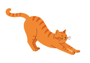 An orange tabby cat arches its back stretching its front legs forward with a closedeyes smile
