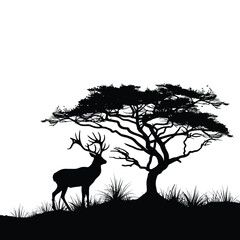 Silhouette of a deer stag and a tree