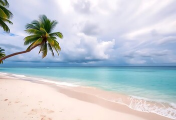 Tropical beach paradise with palm trees white sand and turquoise water for summer vacation getaway dream