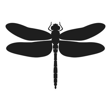 recommend clip art: Dragonfly vector illustration. Dragonfly silhouette in black isolated on white background