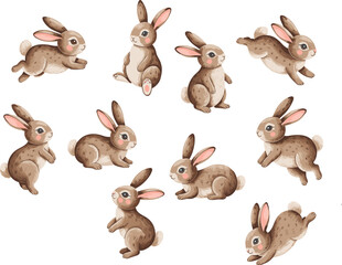 Cute cartoon brown bunny collection, different poses, baby rabbit illustrations, isolated on white background, watercolor style, animal character set, playful design
