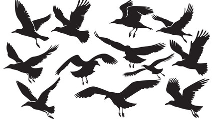 Obraz premium Silhouette of flock of flying birds isolated , black silhouettes isolated on white background
