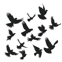 Obraz premium Silhouette of flock of flying birds isolated , black silhouettes isolated on white background