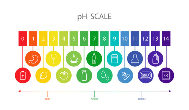 PH Scale balance. Indicator for concentration of hydrogen ion in solution. Ph food analysis or chemical test. Flat Vector illustration.