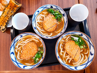 Chicken Katsu Curry Udon Noodles in Japanese Restaurant