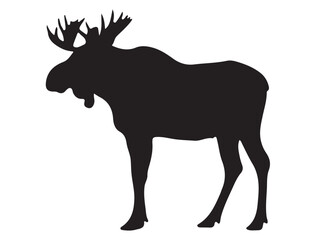 MOOSE SILHOUETTE