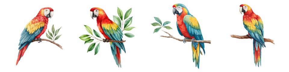 Fototapeta premium Colorful tropical parrots perching on branches