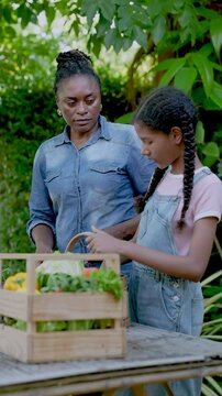 African female instructor guiding multiracial teenage student placing vegetables into basket during outdoor organic farming learning session focusing on produce selection sustainable agriculture Verti