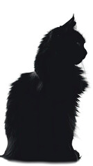 Obraz premium silhouette of fluffy cat on a white background