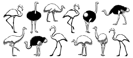 Handdrawn Minimalistic Sumi Ink Drawings