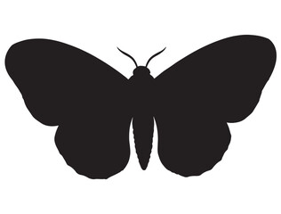 MOTH SILHOUETTE