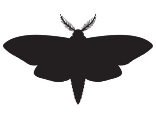 MOTH SILHOUETTE
