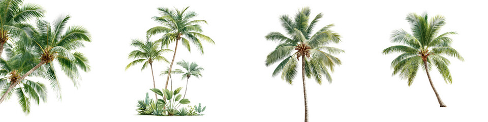 Tropical palm trees in a natural setting
