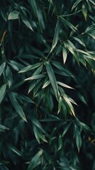 Fototapeta premium Dense Green Leaves Texture