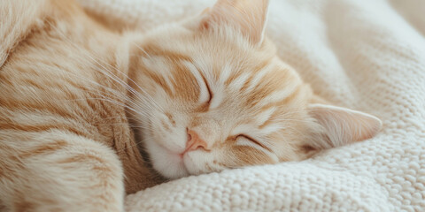 Obraz premium Adorable orange tabby kitten sleeping peacefully on a cozy cream blanket, capturing a sense of comfort, warmth, and tranquility