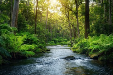 Obraz premium Exploring a tranquil river flowing through the lush tropical jungle wilderness of Tasma, River in tropical jungle forest Wilderness of Tasmania and nature destinations