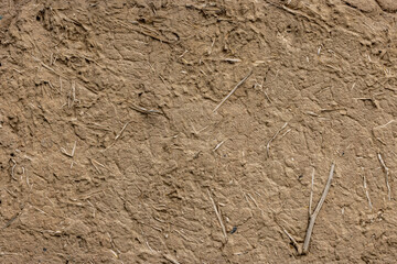 Rustic adobe wall with plant stems - texture and full-frame background