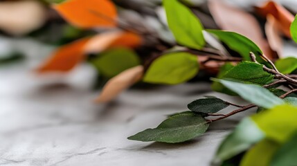 Autumn's Palette: A Gentle Transition of Leaf Colors on Marble Surface