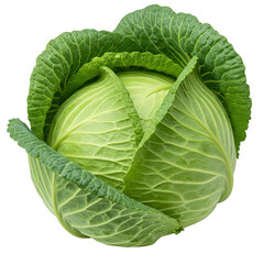 Fototapeta premium Fresh green cabbage isolated on transparent background