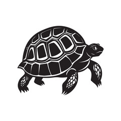 tortoise illustration vector logo sticker silhouette 
