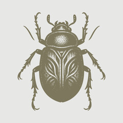 colorado potato beetle