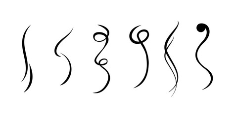 Vintage Set of calligraphic swashes swirling lines and flourishes