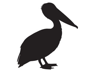 PELICAN SILHOUETTE